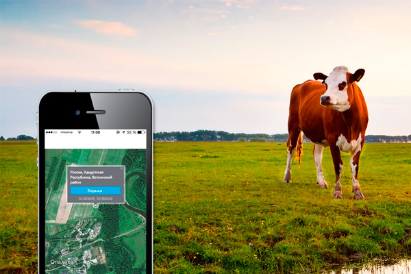 Отследить месторасположения скота поможет GPS Marker М80